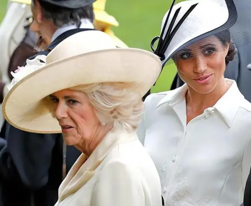 从游艇女到英国王妃,梅根费尽心思嫁入王室,最终却还是变回平民