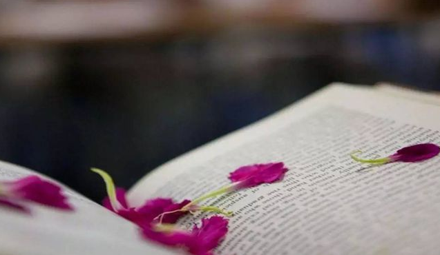 |人生最大的悲剧，是把幸福当成目标。而人生最大的错误，是想拥有一切而完全失去了它