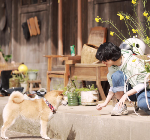 |我滴妈呀，连综艺也要内卷了