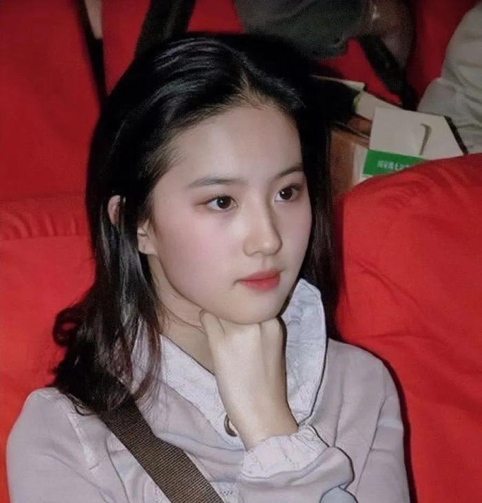 刘亦菲|刘亦菲母亲刘晓莉:身材傲人至今单身,五官比女儿还精致