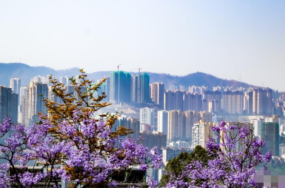 三亚|闻到了自由的味道，春节去哪里旅居合适? 这些避寒城市适合北方人