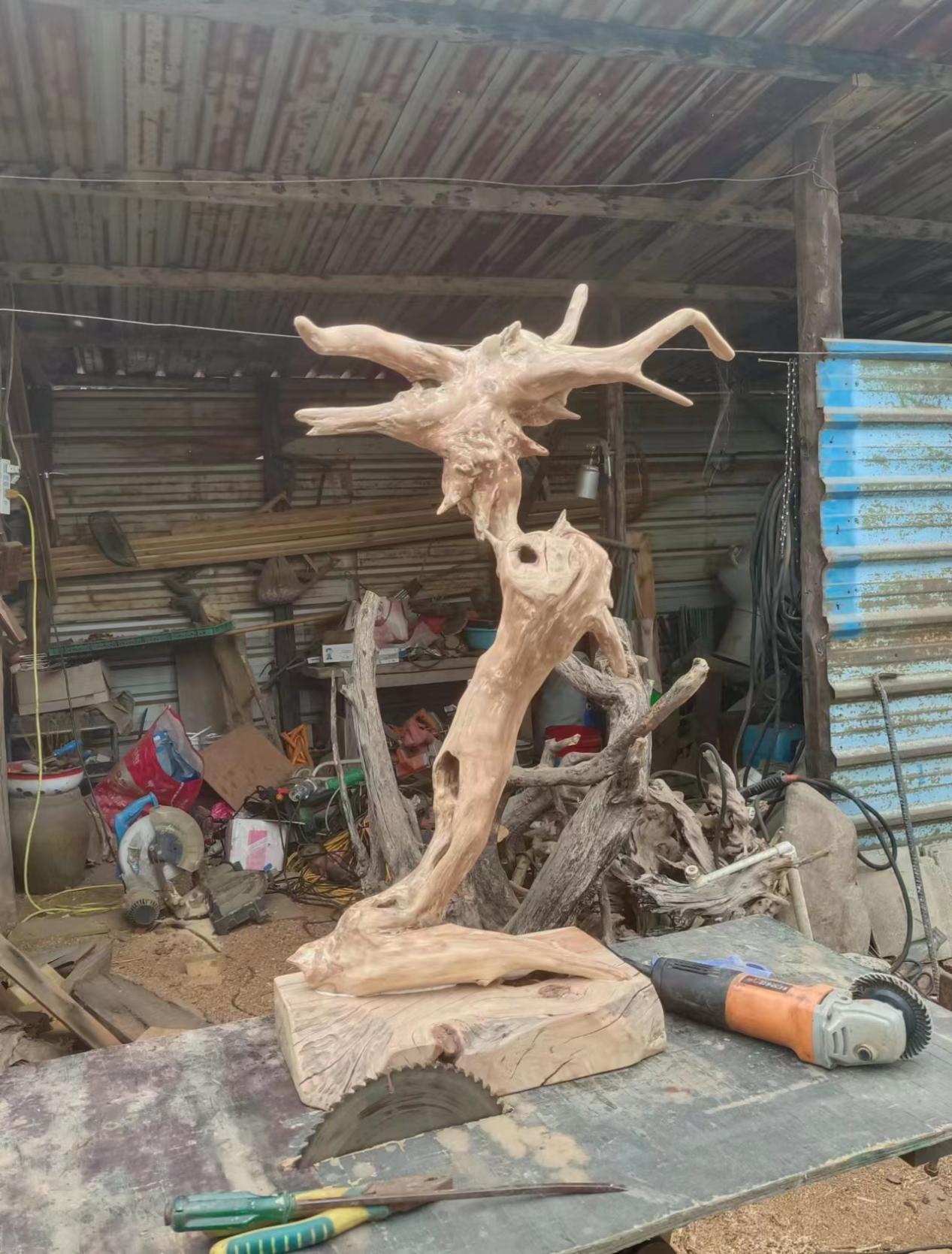 隋乐明——中国东方文化研究会研究员