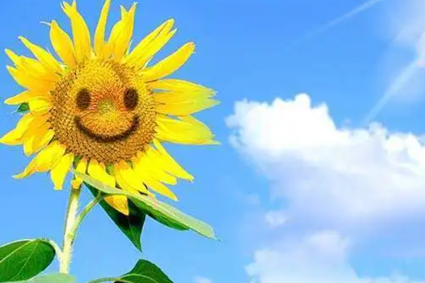 运动 试一试，从小事里去发现，幸福人生