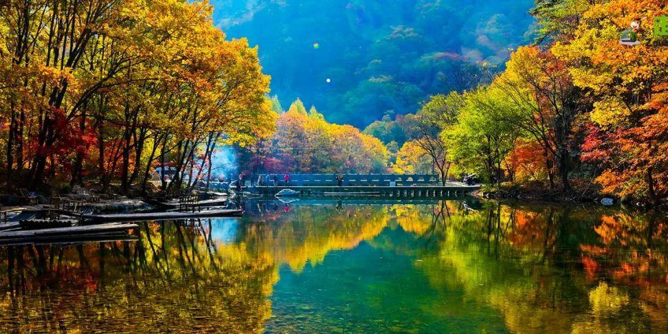 丹东|中国最大的边境城市，秋天美成了 一幅画！
