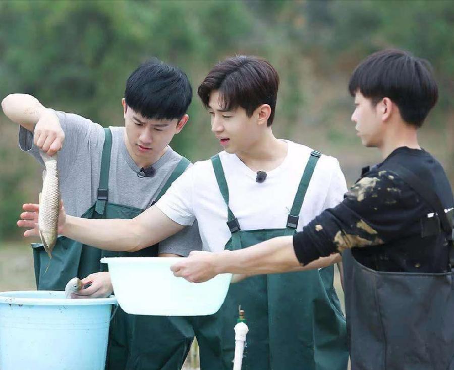 向往的生活|播了六年的《向往的生活》，为什么要停播，是因为它老了吗