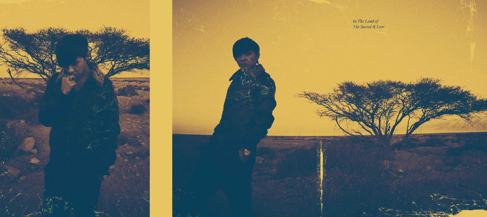 出道近20年，仍是飞轮海编外人员，唐禹哲你的脸快变汪东城了