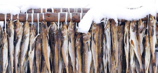 腌菜|西伯利亚:砍不完的树、挖不完的矿,菜比肉贵、家家囤腌菜