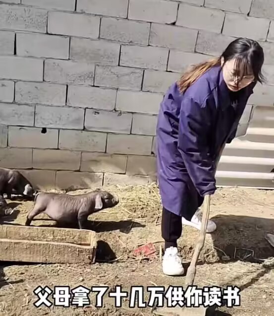 比亚迪秦PLUS DM-i|大学生就业选择增多，不少职业受到大学生青睐