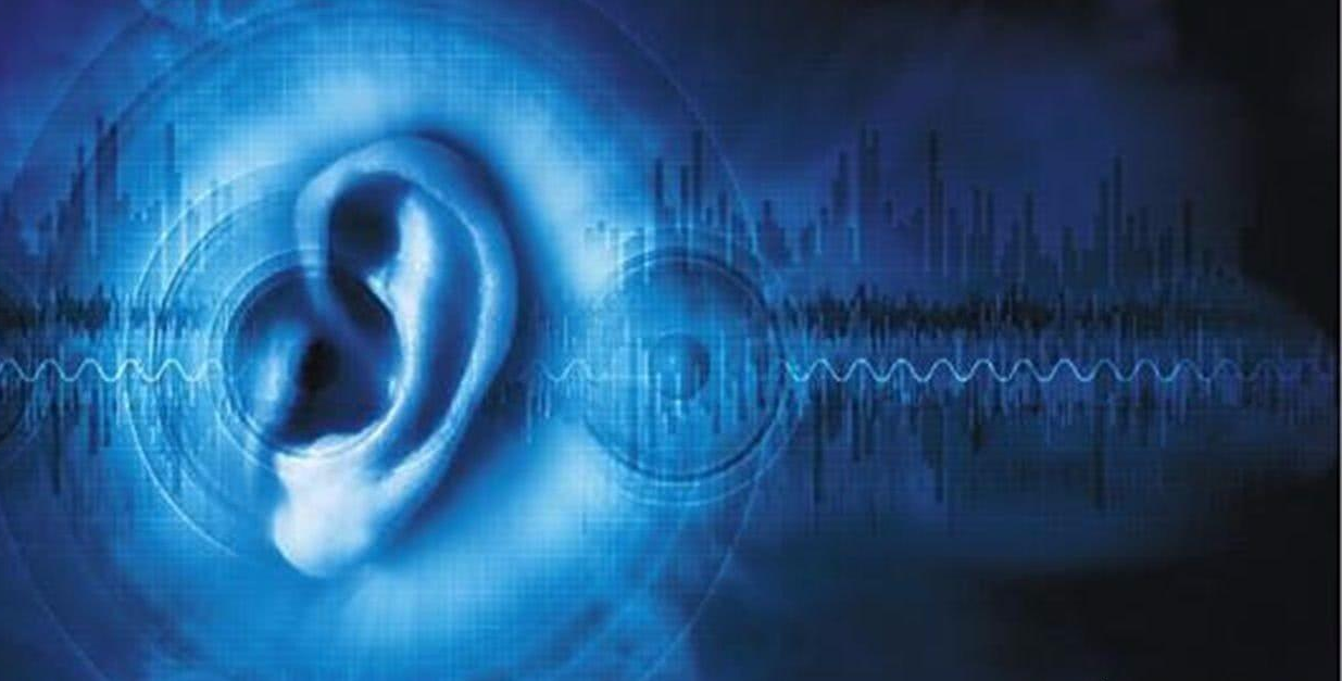 华生|《全员嫌疑人》:华生力破解悬疑,在无限反转中提升思辨力