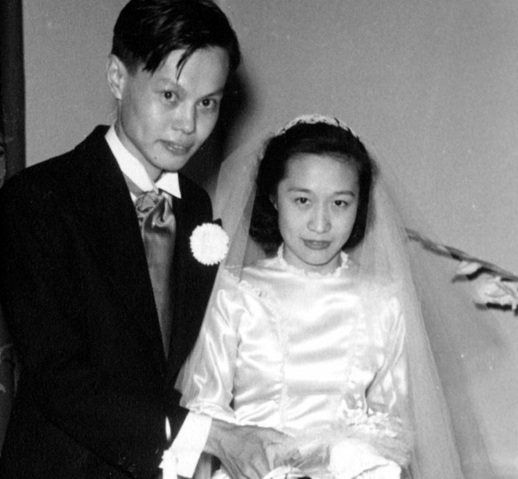 杨振宁|101岁杨振宁状态堪忧,翁帆或早准备退路:冻9颗卵子许她改嫁孕育