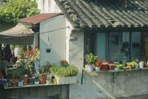 浙江省|浙江一个清幽的小镇，比不上乌镇繁华，来了几次也没觉得腻