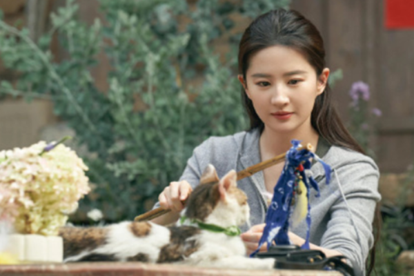 电视剧|田园小甜剧,看温馨爱情,真是向往的生活啊