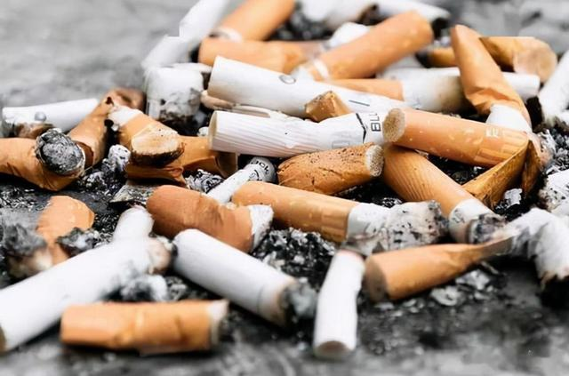 吸烟真的有害吗？英国烟草公司用48只狗做实验，3年每天吸100支烟