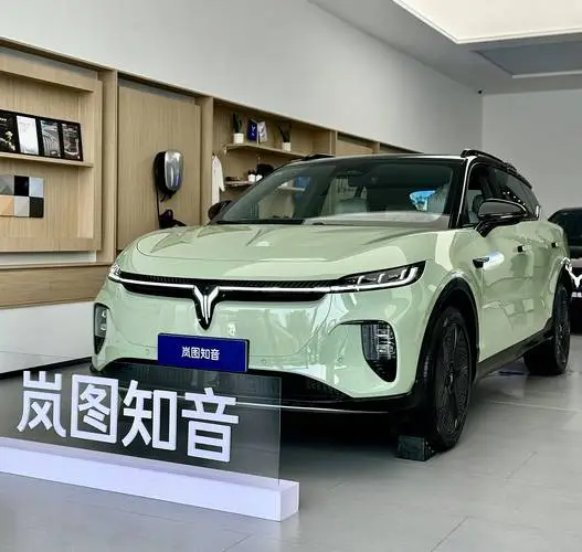 售价20.29万元，动力充沛，配置丰富，纯电SUV可以看看它