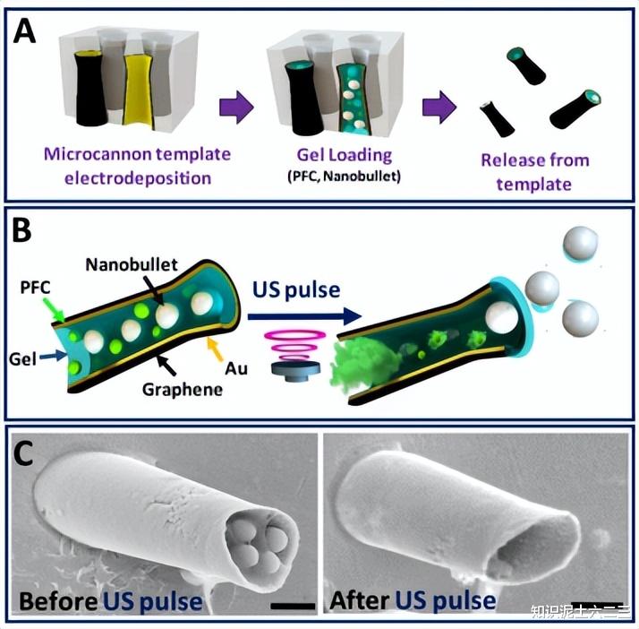 水凝膠微型機(jī)器人，材料多樣性能優(yōu)
