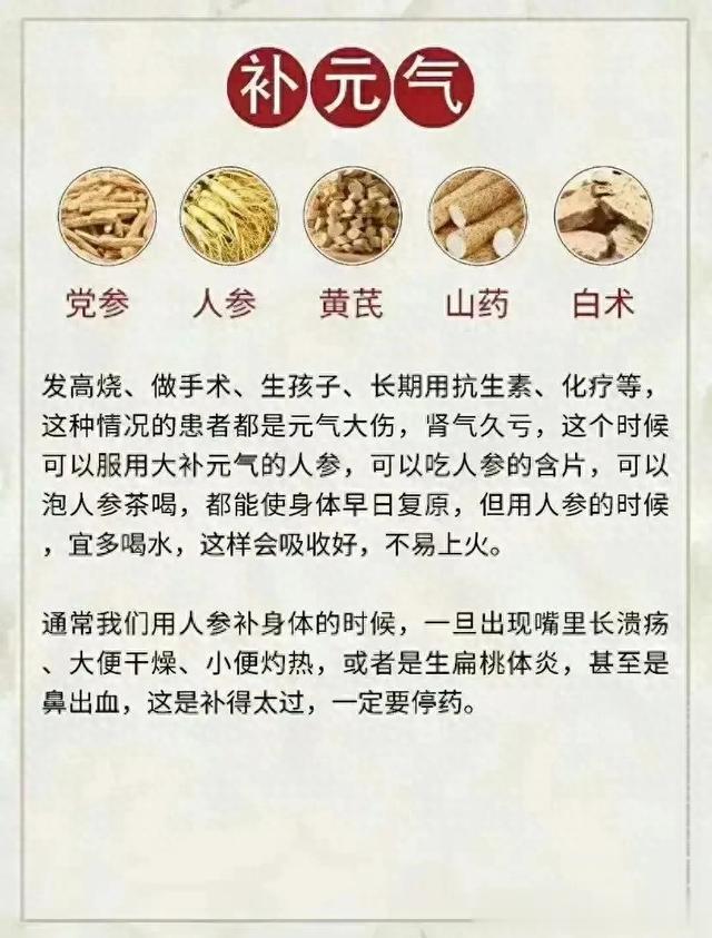 从脾到肾，全方位中药滋补方案，让你元气满满每一天！