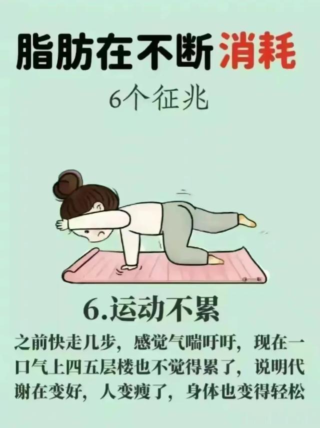 脂肪不断消耗的 6 个征兆！