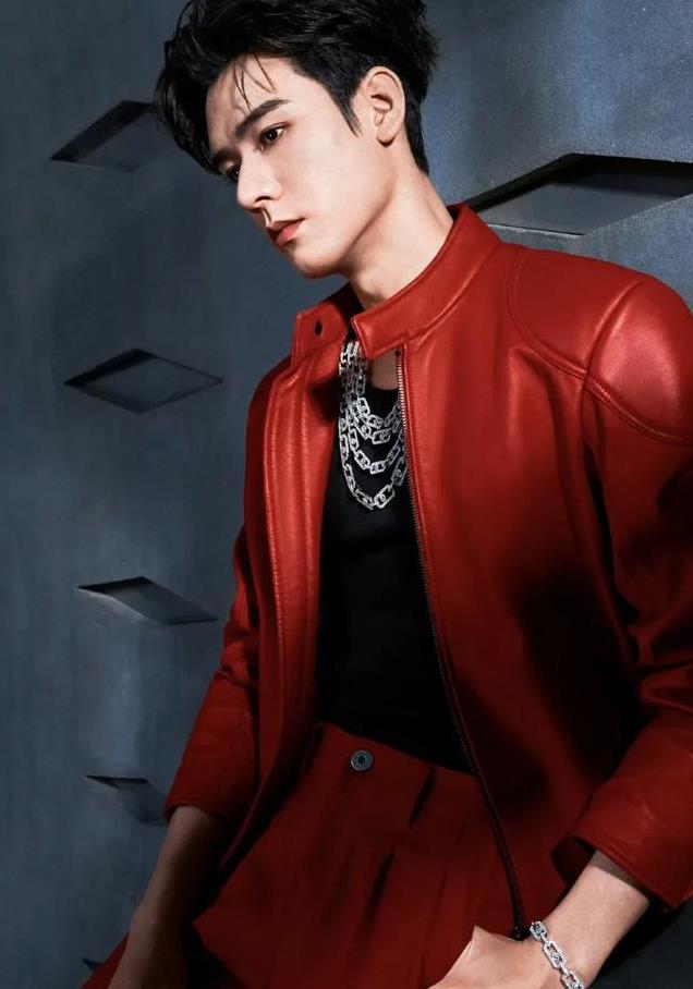 平心而论,内娱真正的绝色美男只有12位,他们酷帅雅痞,清新性感