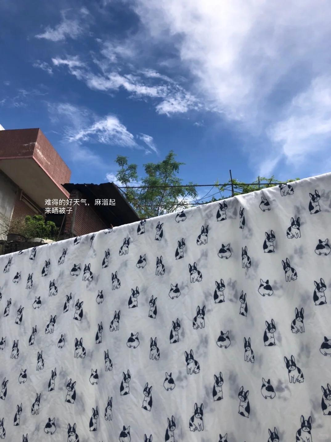 50岁的极简退休生活，简单就是快乐