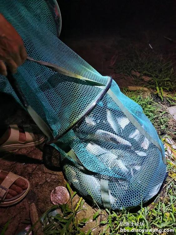 池战泡泡球，黑坑好伴侣