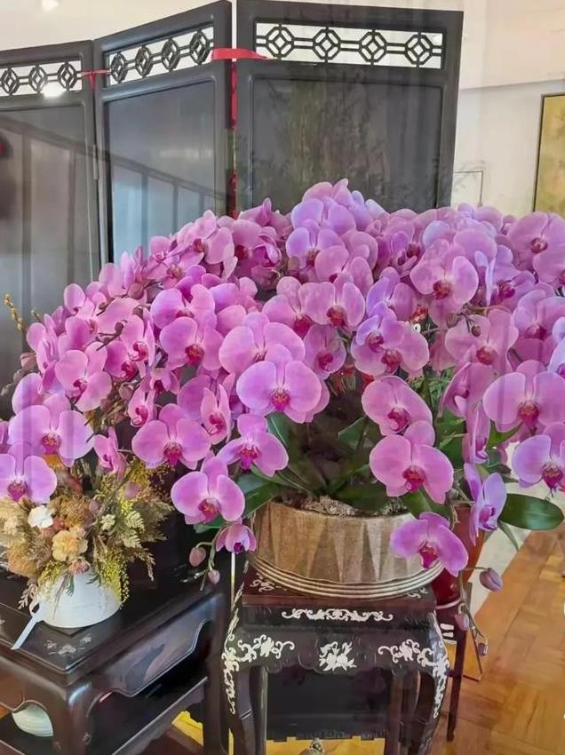 69岁吕良伟过年晒一家人豪宅照，儿子肥硕老婆美，家里摆满年宵花