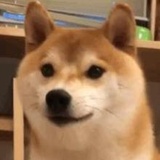 小铮谈娱乐趣事