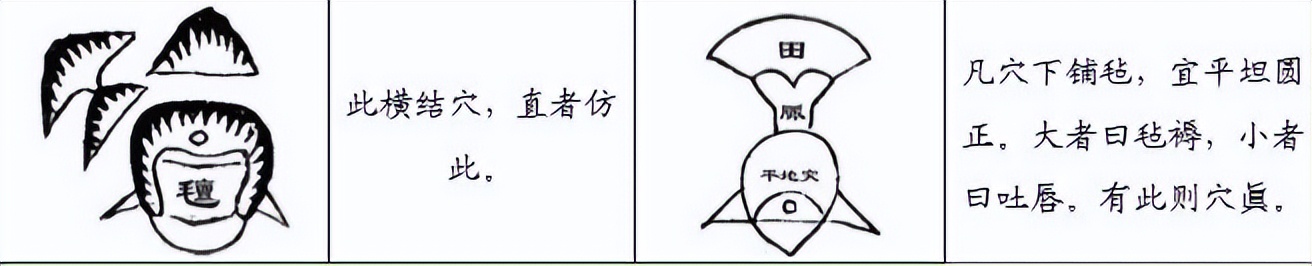 堪舆点穴，审唇毡以定余气，论唇毡证穴