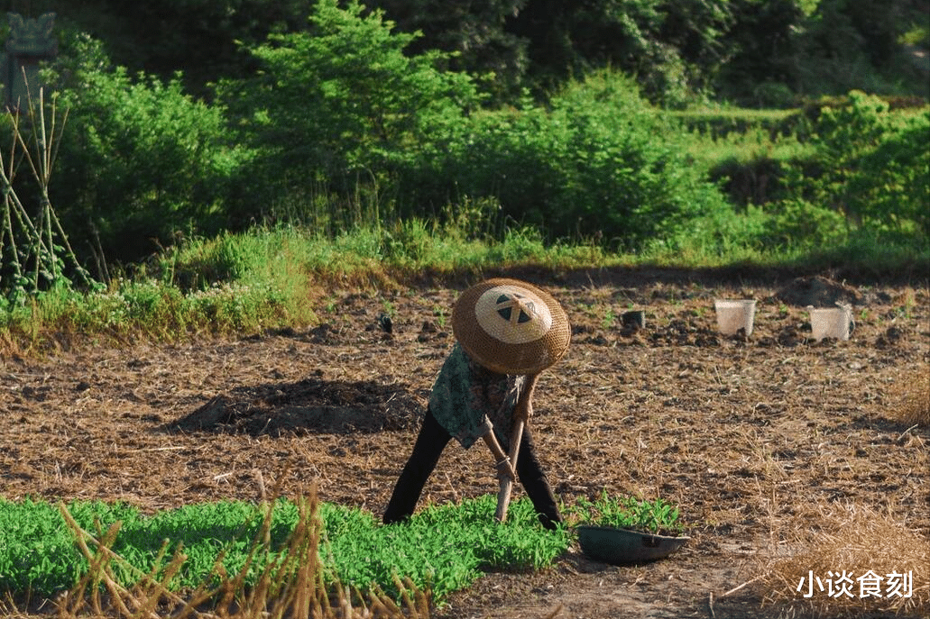 “发不发,就看八月八”,明日八月八,做4件吉事,寓意多财多福