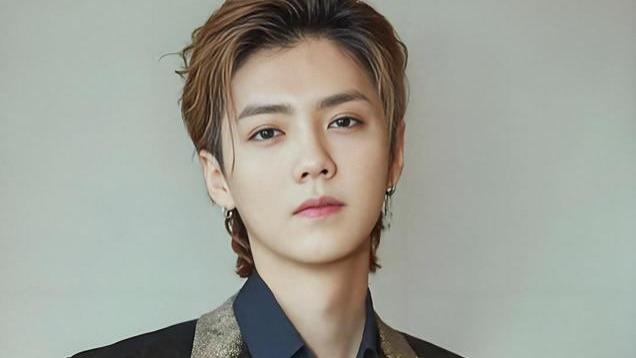 网友群嘲、粉丝取关、人设崩塌！但鹿晗用“一招”实现完美反转！