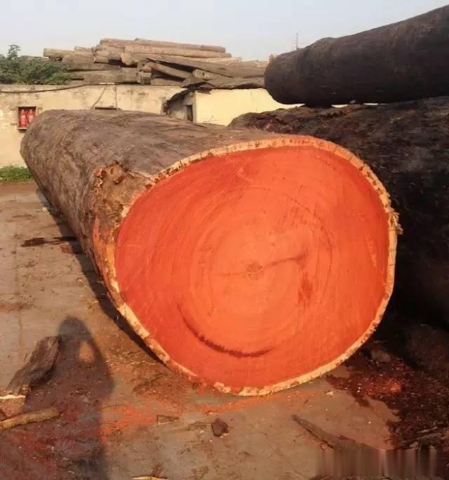 详解“红花梨”:既不是花梨,也不是红木