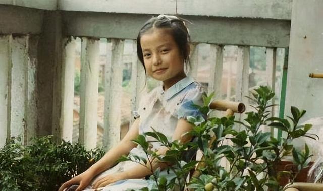 颤抖吧！赵薇正式宣布复出回归，小燕子的“恶”，真没人能治她吗