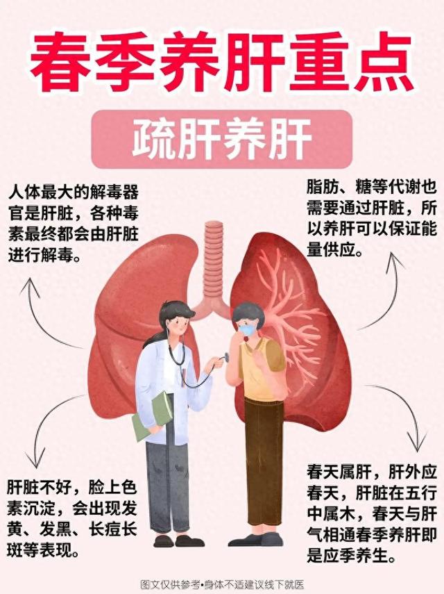 肝喜欢的不是蒲公英，而是这4种菜，中老年常吃，养肝降火身体棒