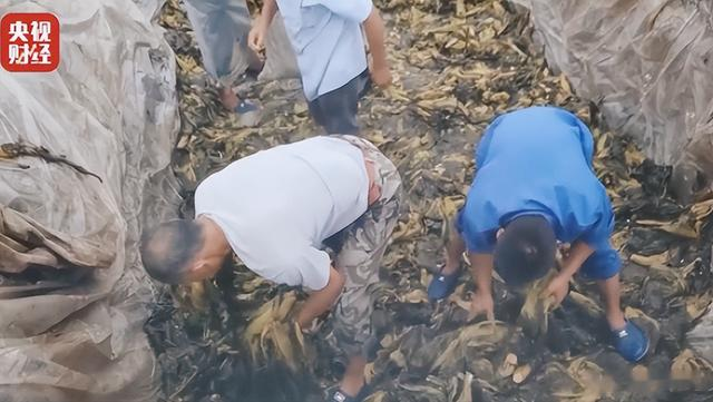 315曝光过的5大食品“黑名单”,尽量少给家人吃,懂得忌口更安心