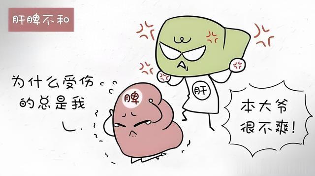 肝郁脾虚，沉重乏力，送你一盒中成药，调和脾肝脾，养好脾胃