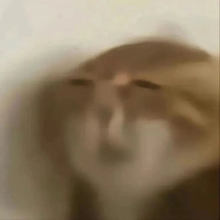 因为上等人优越感而崩塌的高知美人?全网懂她悲伤的人估计是晚晚