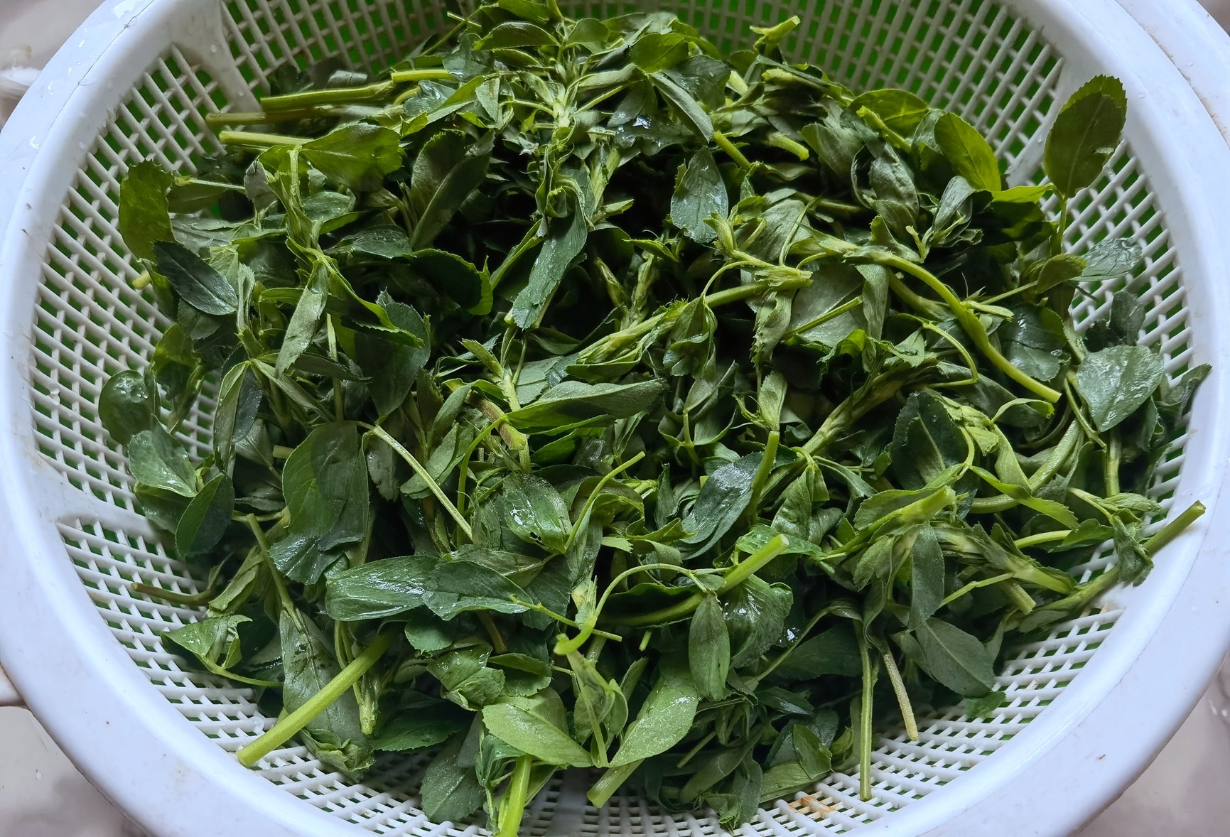 4月遇到这菜别手软，一次储存10斤慢慢吃，简单一蒸清香又好吃！