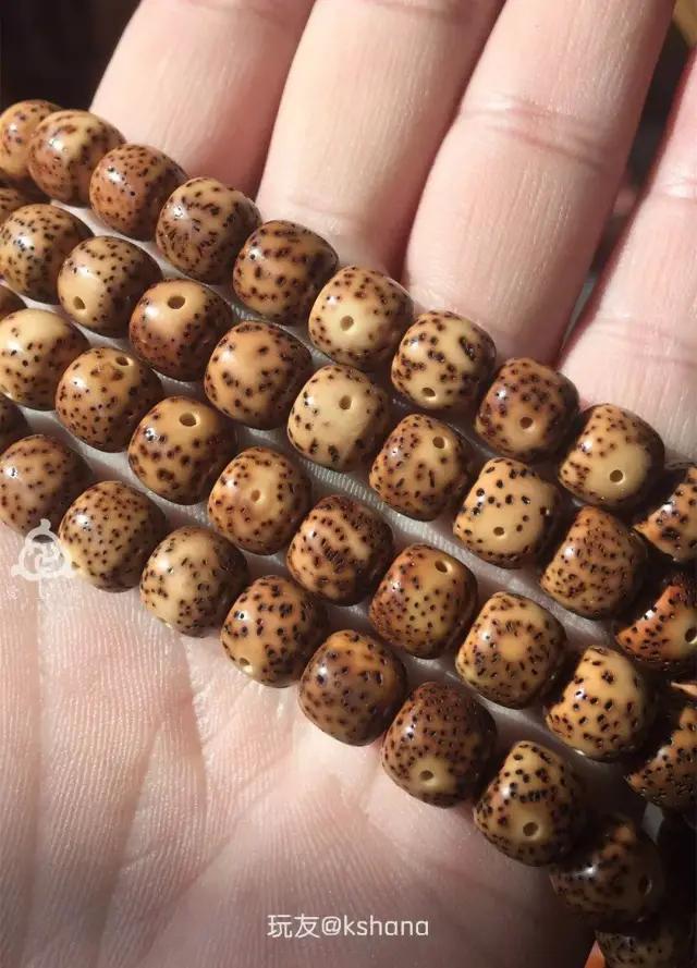 都是一样的串，凭啥我就盘不出来！