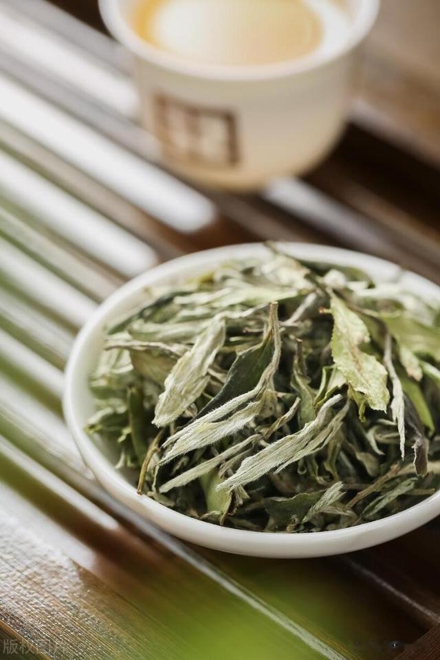 什么是“白茶”?福鼎白茶、安吉白茶是正宗白茶?哪里的最好喝?