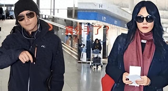 王菲恋再次被曝！张柏芝为躲避霆锋，带全家嫁小9岁大佬！