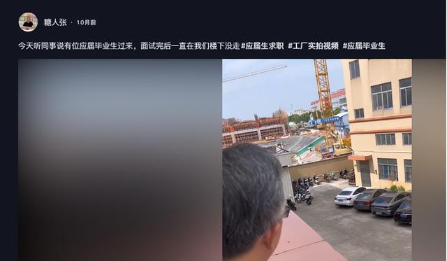 985毕业生当“蹲族”：不打算就业在家考公，实际却是打9个月游戏