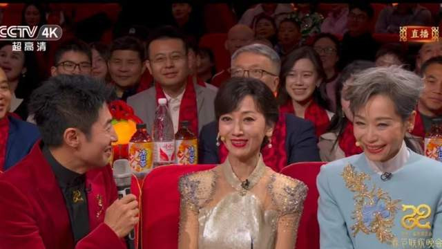 71岁赵雅芝成春晚颜值扛把子，给所有“变脸”的女明星，提了个醒