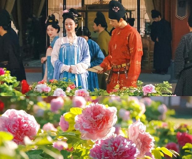 看到杨紫因为《国色芳华》又被嘲后,才知道刘亦菲赵丽颖有多清醒