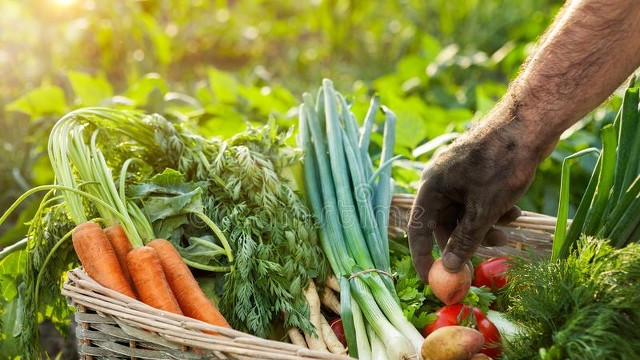7月，记得把这4种蔬菜晒成干，留到天冷炖肉吃，堪称是绝配！