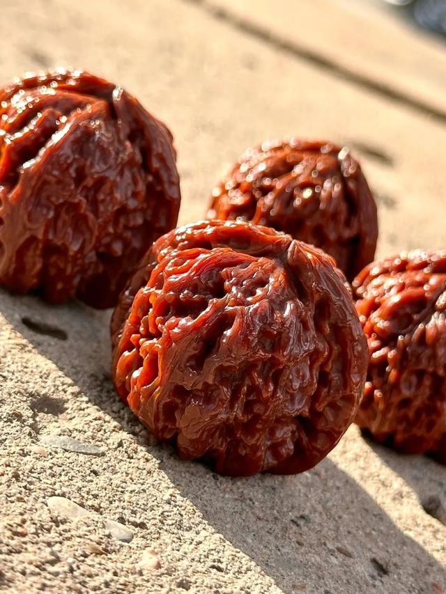 年已过，春已到，春日醒珠，你的文玩手串准备好透气了吗？