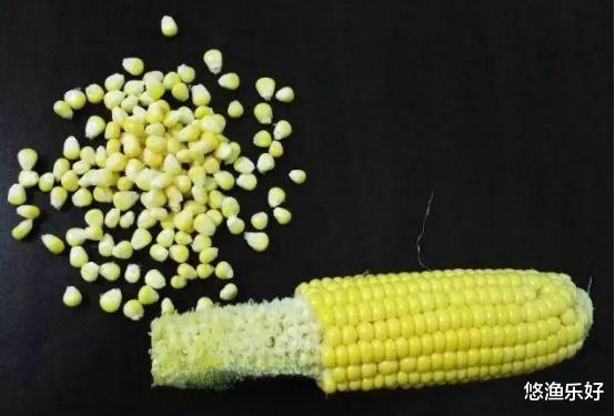 如何用“素饵之王”高效钓到目标鱼?这些技巧你一定要知道!