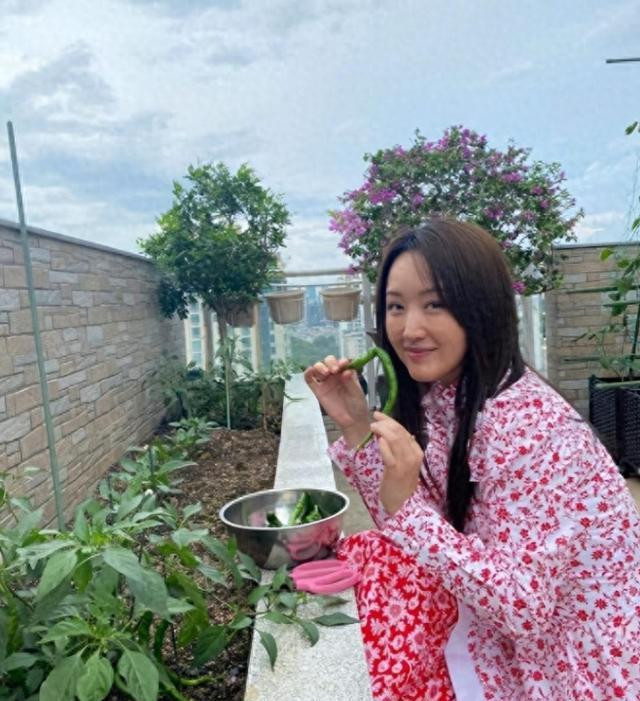 53岁杨钰莹在豪宅摘菜，村姑打扮难遮清纯美，条件好可惜不嫁人