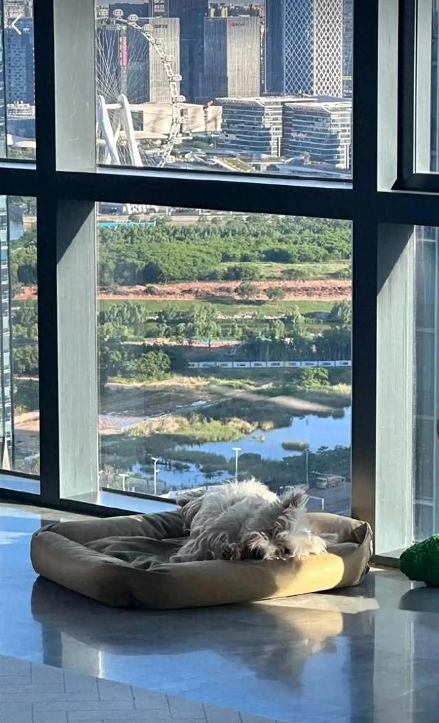 葛夕自曝日入10w,深扒之后娘家背景惊人。这就是又美又飒的底气