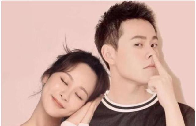 央视接连锐评杨紫,只字不提演技二字,一针见血,宋佳说的太对