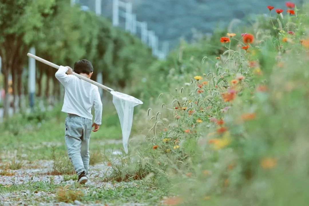 哺乳期女教师被调岗为保洁：职业权益不容侵犯