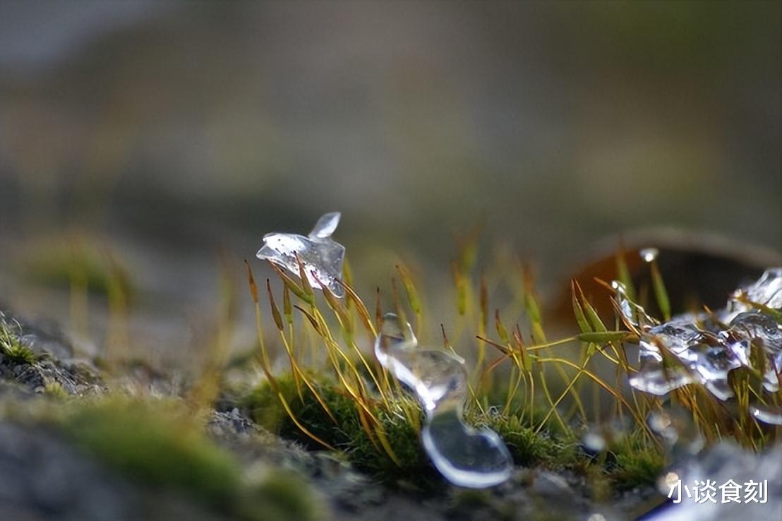 5月5日立夏，老传统：做3事，吃3样，忌1事，消灾降福保平安